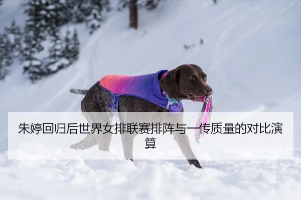 朱婷回归后世界女排联赛排阵与一传质量的对比演算